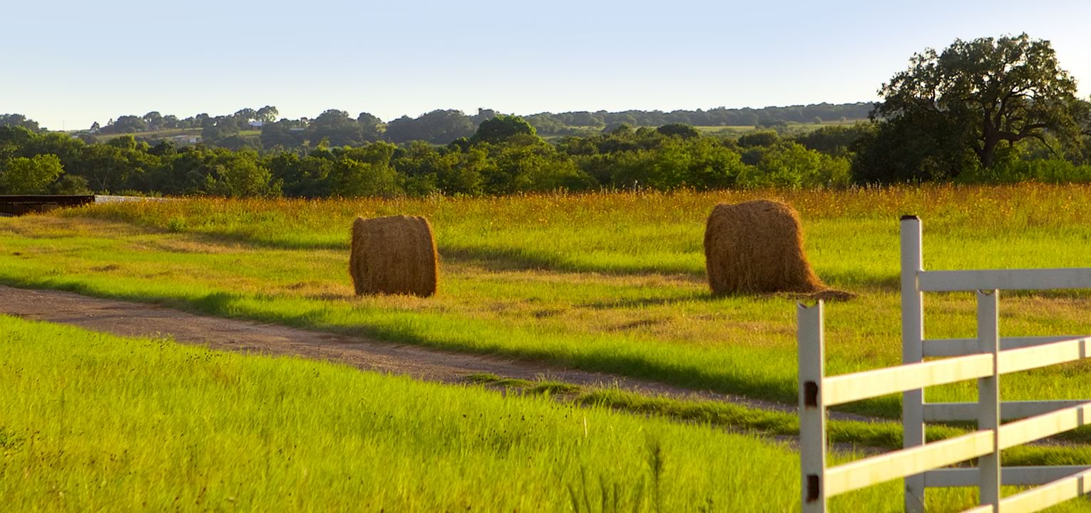 Round hay bales in a Wilson County field at sunset