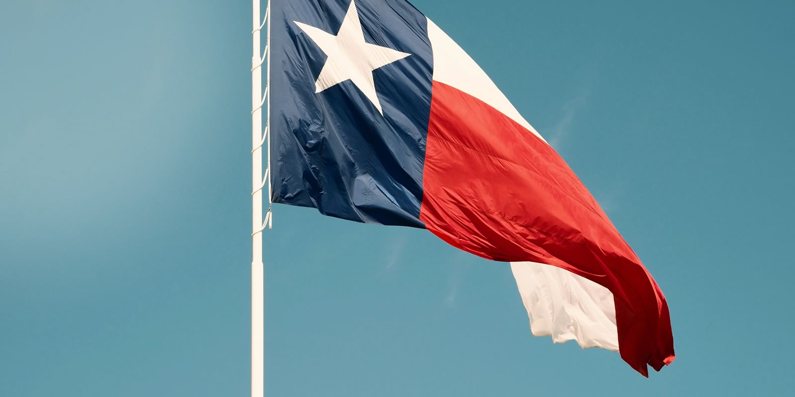 Texas state flag
